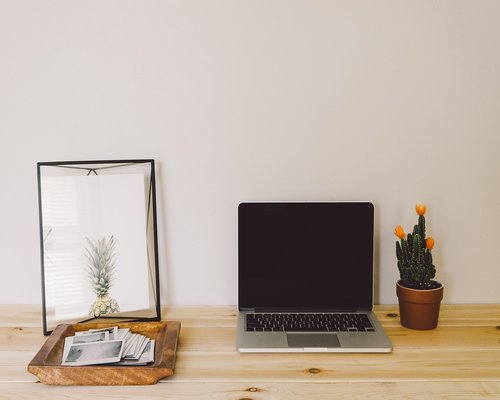 Organized clean desk setup with a plant and laptop